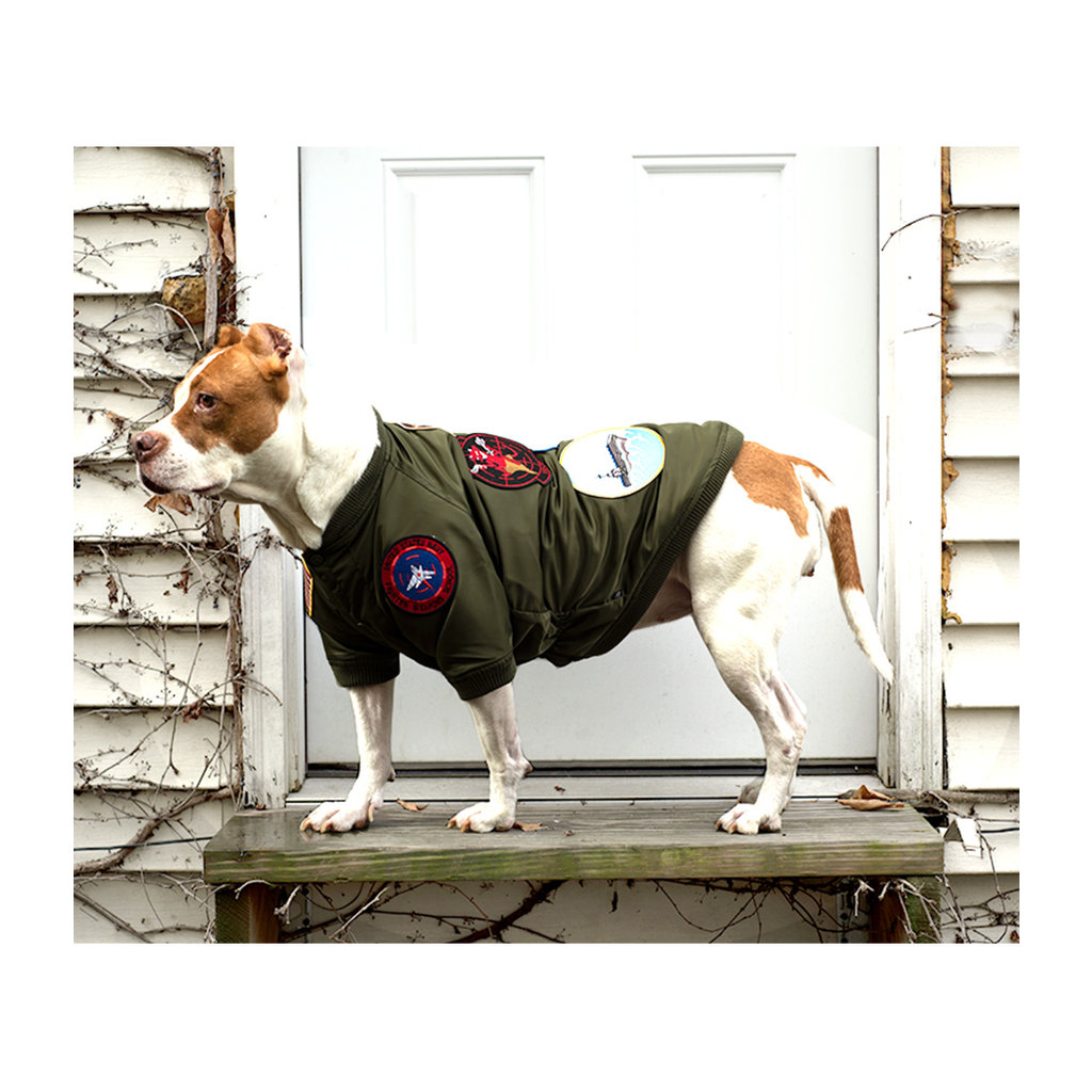Top Gun Dog Bomber Jacket