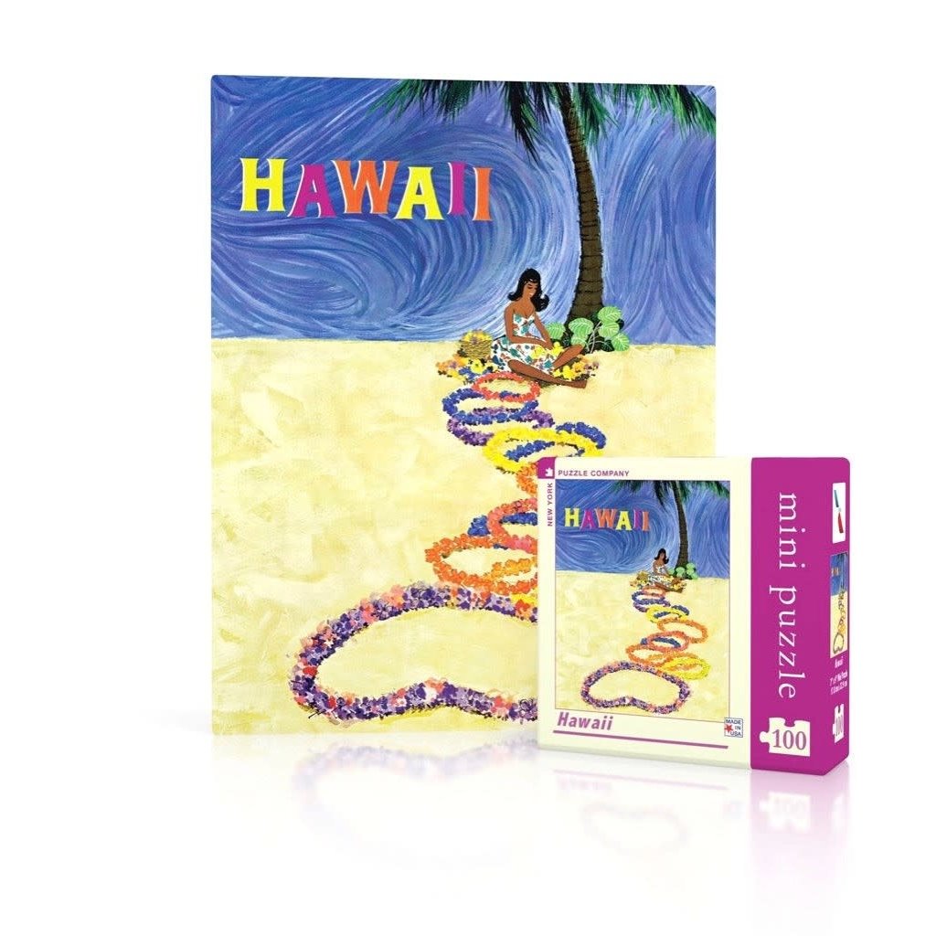 American Airlines Hawaii Mini Puzzle