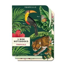 Vintage Tropicale Mini Notebooks