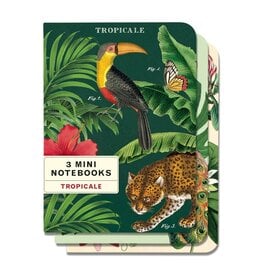 Vintage Tropicale Mini Notebooks