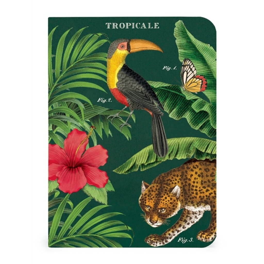 Vintage Tropicale Mini Notebooks