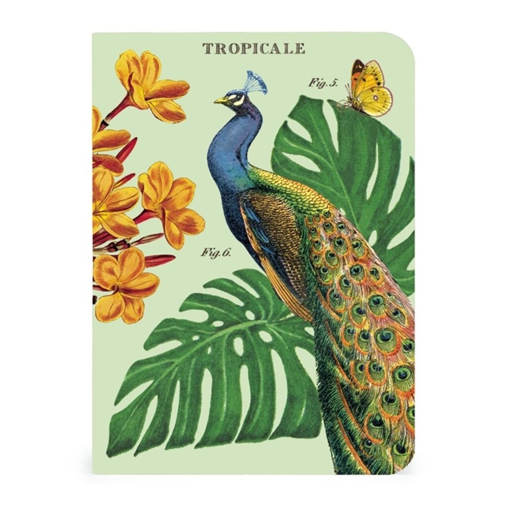 Vintage Tropicale Mini Notebooks