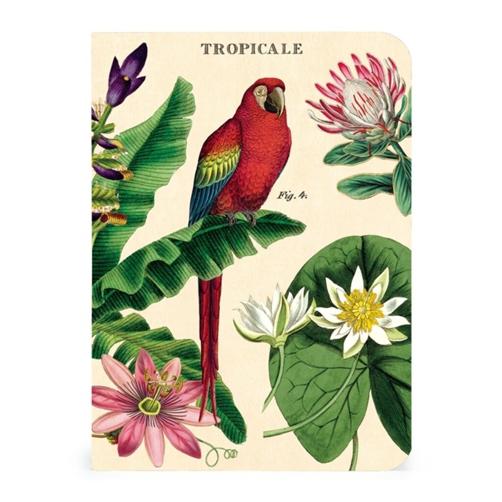 Vintage Tropicale Mini Notebooks