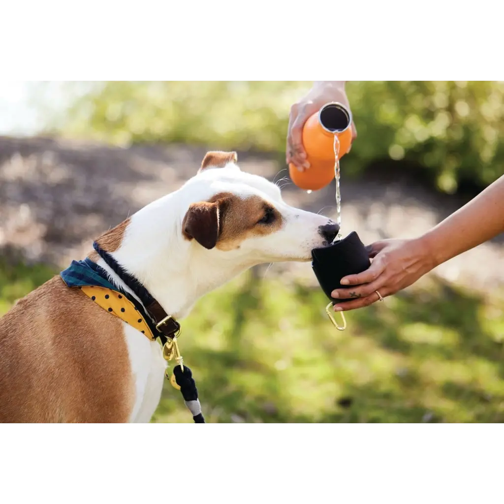 WH1GH- 2-in-1 Dog Drinking Bottle