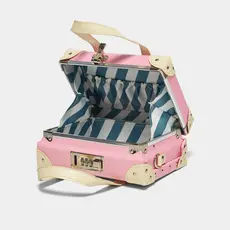The Entrepreneur Pink Mini