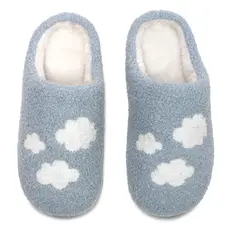 WHLR- Cloud Slippers