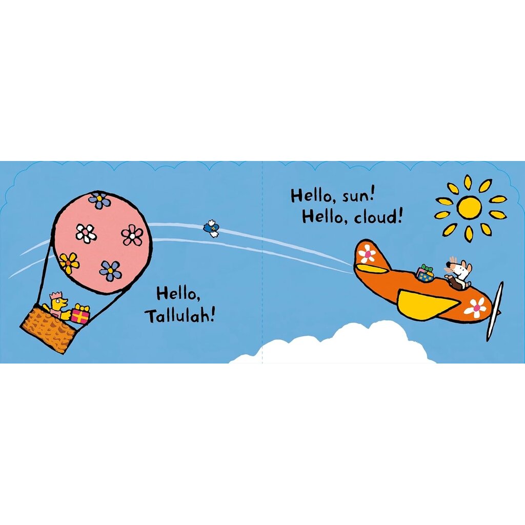 Maisy's Plane Kids Book