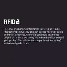 RFID Passport Pouch