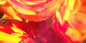 May 22, 2020 Newsletter