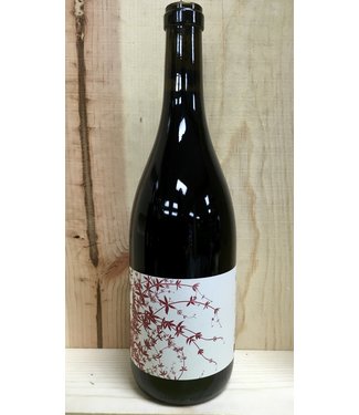 Broc Cellars Vine Starr Zinfandel 2023 750ml