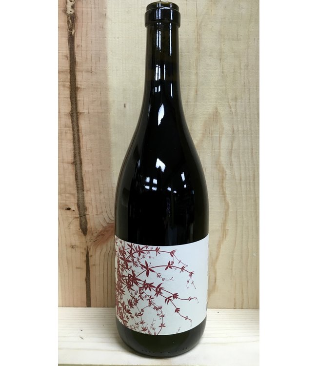 Broc Cellars Vine Starr Zinfandel 2023 750ml