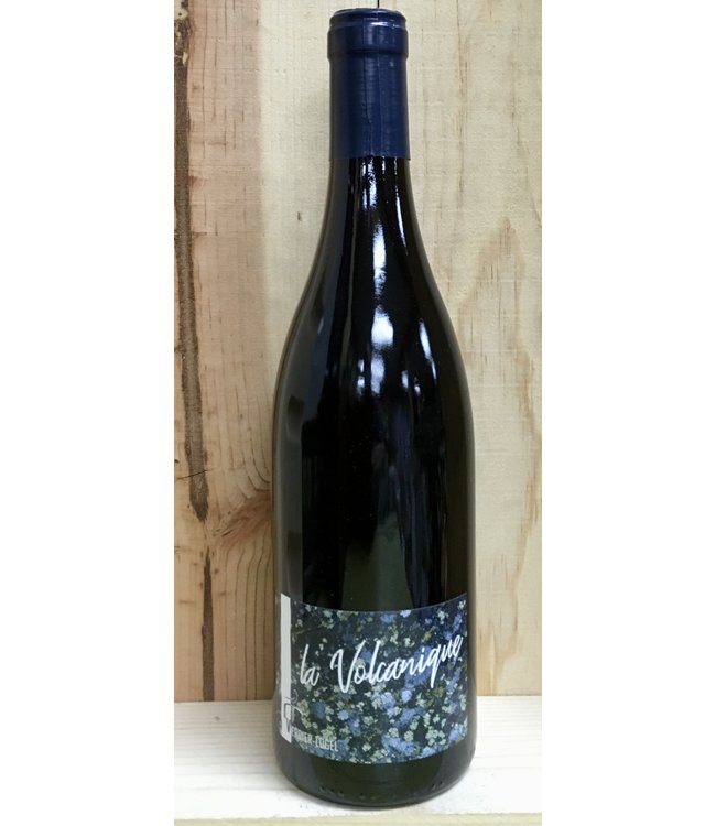 Cave Verdier Cotes du Forez Volcanique 2024