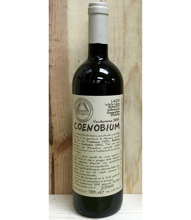 Monastero Suore Cistercensi Coenobium 2024