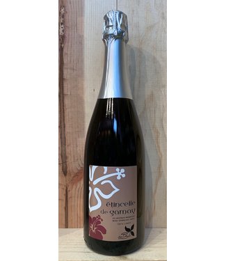 Domaine de la Côte de Berne Etincelle de Gamay Pet Nat