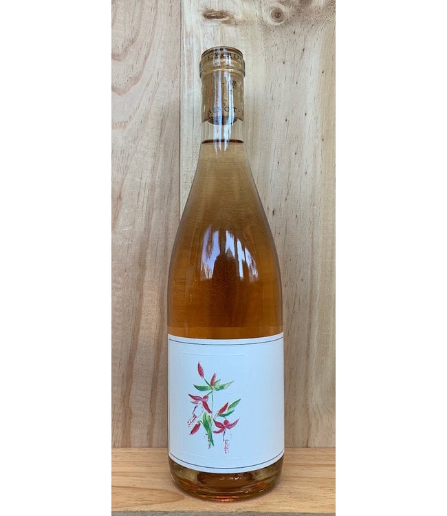 Arnot-Roberts Touriga Nacional Rosé 2025