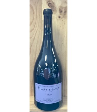 Sylvain Pataille Marsannay Rouge 2022 1.5L •