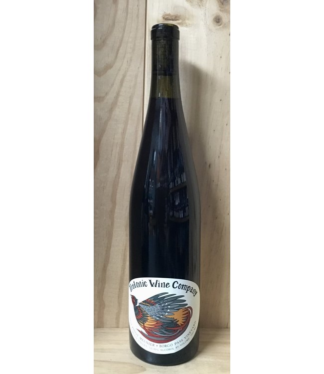 Teutonic Pinot Meunier Borgo Pass Vineyard 2023