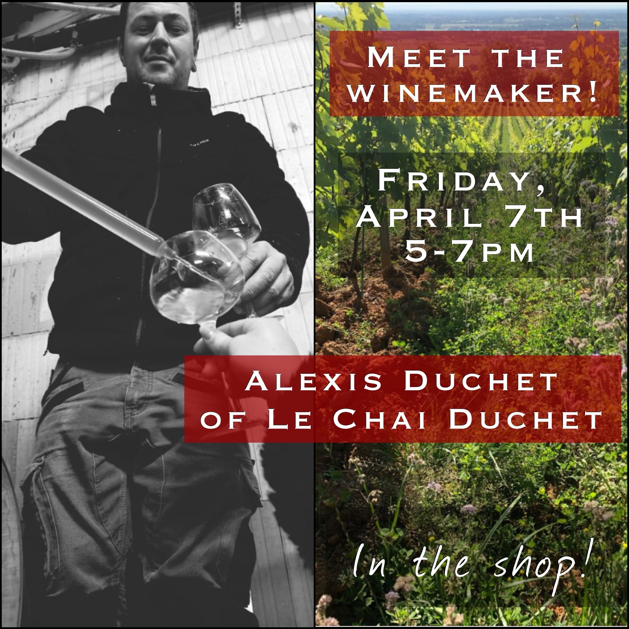 Meet the Winemaker: Alexis Duchet/Le Chai Duchet