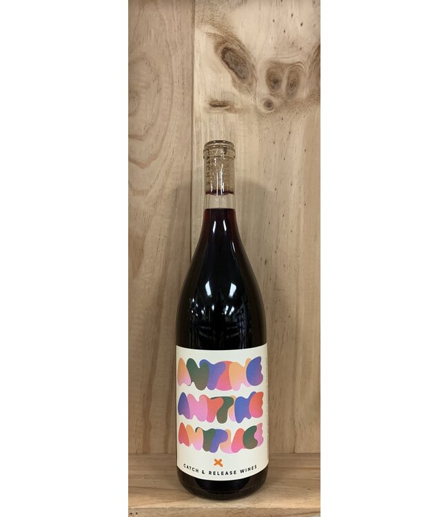 Catch & Release Anyone Anytime Anyplace 2023