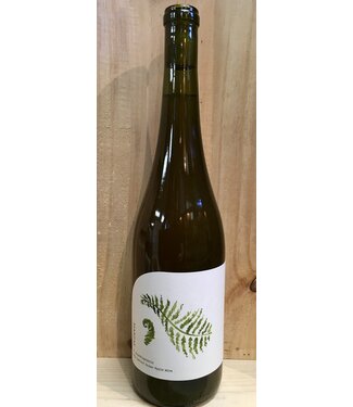 Marzae Sauvage M. Struthiopteris 2023