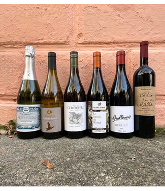 Extra Gravy Thanksgiving 6 pack