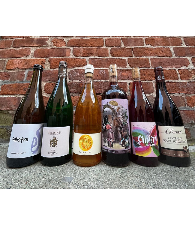 Avant Gourd Thanksgiving 6 Pack