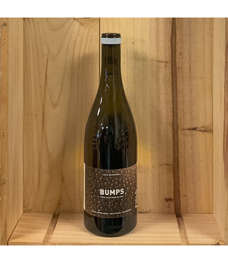 Field Recordings Bumps 2025