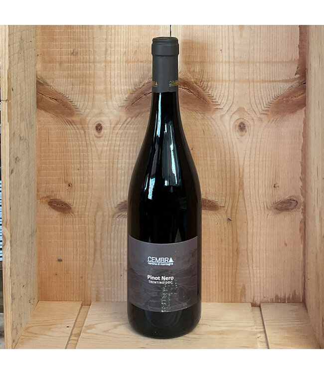 Cembra Pinot Nero Trentino 2024