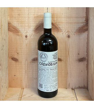 Monastero Suore Cistercensi Coenobium 2024