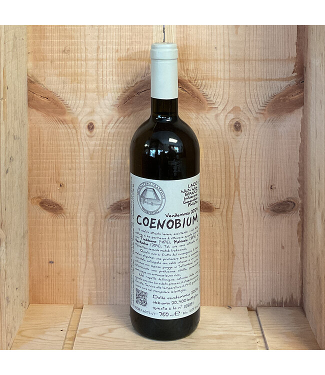 Monastero Suore Cistercensi Coenobium 2024