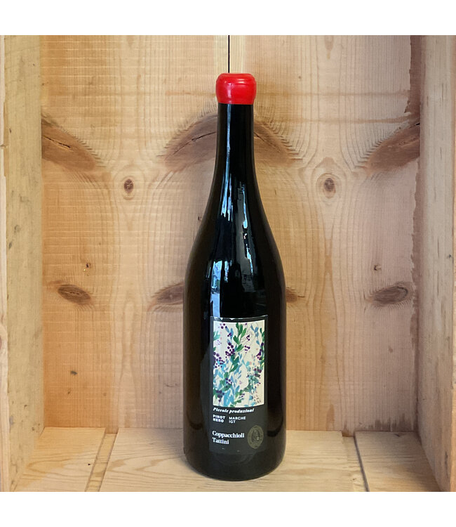 Coppacchioli Tattini Picole Produzione Pinot Nero Marche 2024