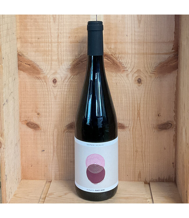 Sophie Schaal Pinot Noir 2024