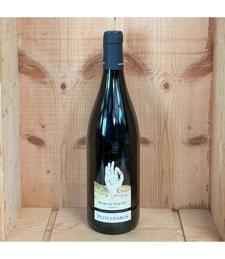 Moreau-Naudet Petit Chablis 2022 •