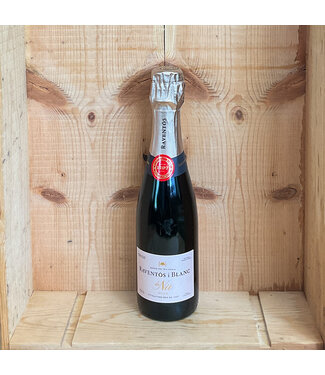 Raventos i Blanc de Nit Rose Cava 375ml