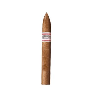 United Cigars United Terra Nova Dark Fired Kentucky Beli  bx20