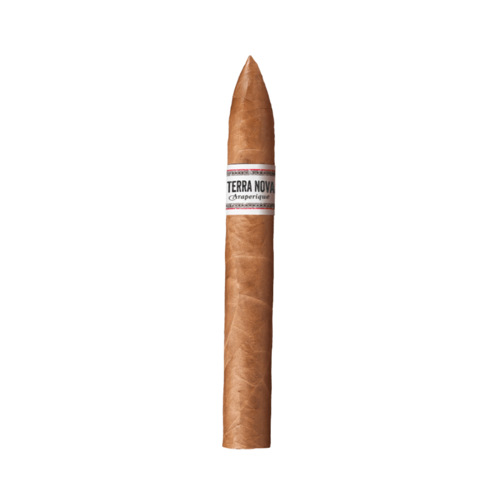 United Cigars United Terra Nova Araperique Beli bx20 United Cigars United Terra Nova Araperique Beli bx20