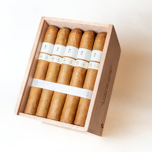 Patoro Cigars #1 Patoro Terre Blanche Gordo bx25