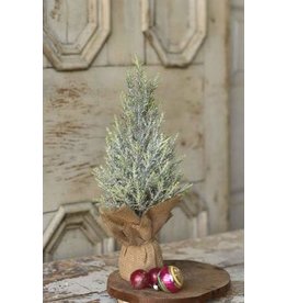 Fine Pine Tree 15” XAE4556