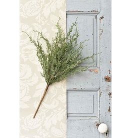 Ice Glazed Cedar Bush 24” XBR6177