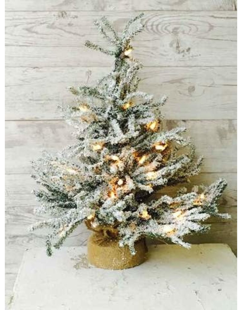 Pine Snow Tree Burlap w/Clear Lights 18” XE6561