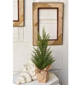 Fine Cedar Tree 18” XJ6375