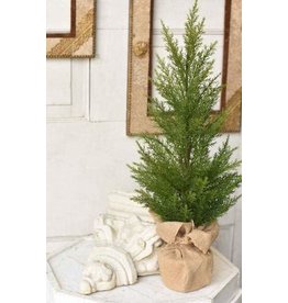 Fine Cedar Tree 24” XJ6376