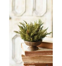 Alpine Cedar Half Sphere 11” XP78425