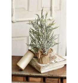 Frost Berry Tree 18” XS6116