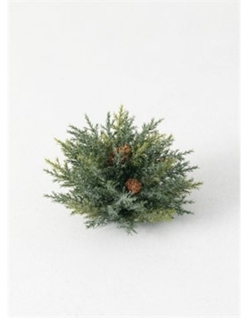 Frosted Arborvitae Orb ORB126