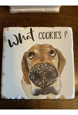 Naughty pet coaster