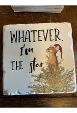 Naughty pet coaster