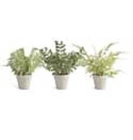 Real touch fern in grey pot