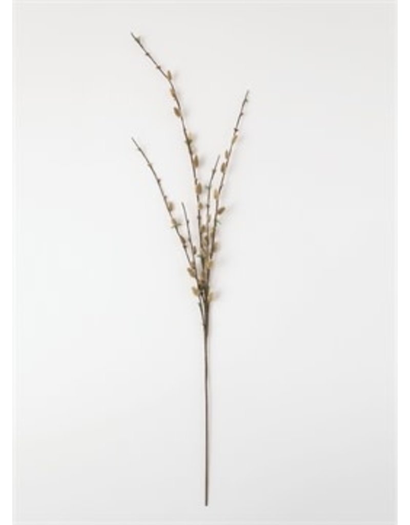 Pussywillow spray