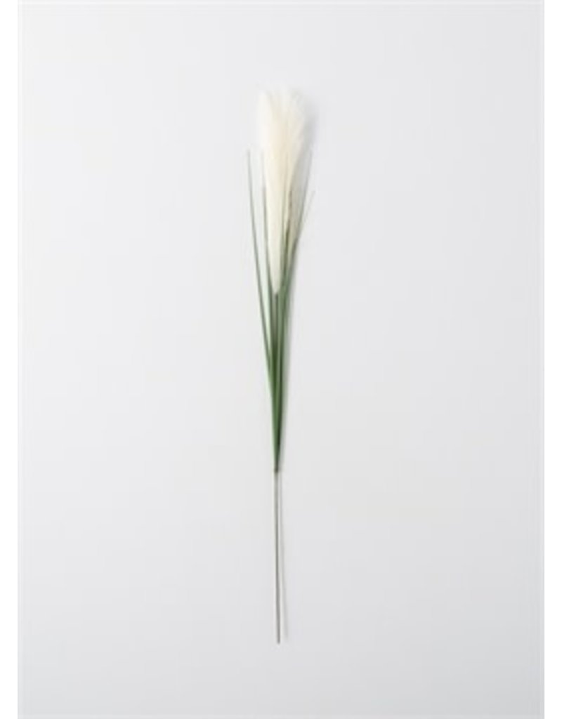 Reed grass stem dl4098